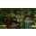 Lego Star Wars: The Force Awakens PC - 289165 - zdjęcie 5